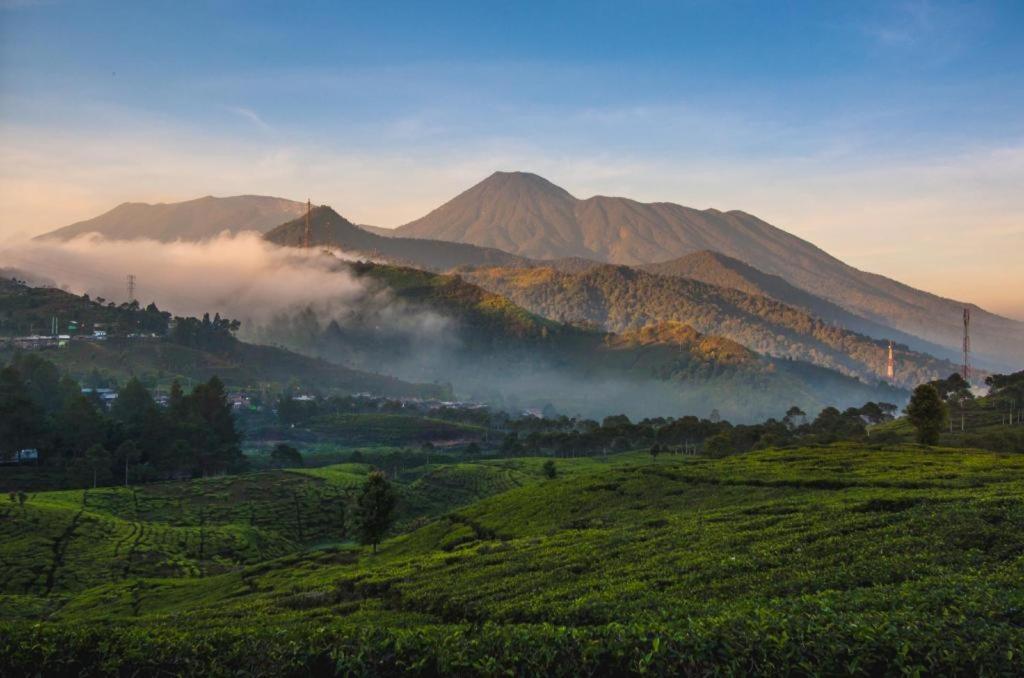 Green Wattana Hotel Sentul Богор Экстерьер фото